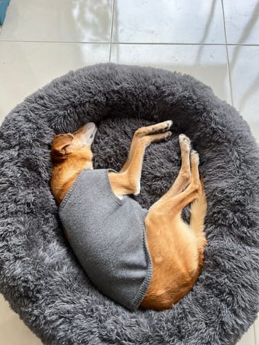 Lucky | Donzige hondenbed