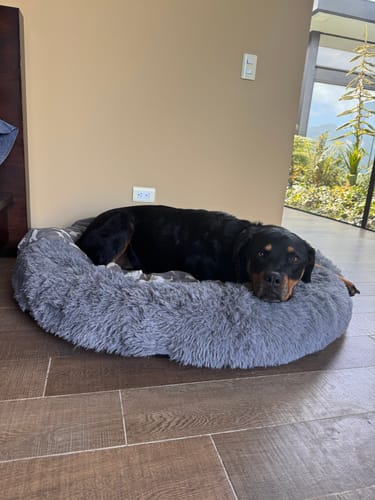Lucky | Donzige hondenbed