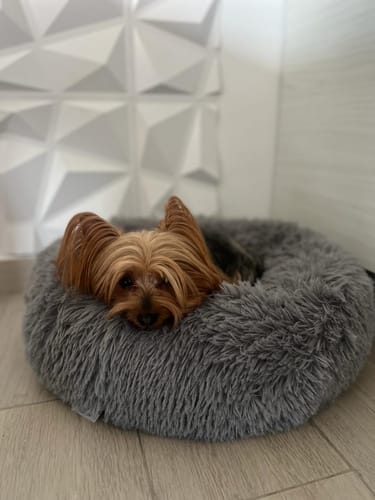 Lucky | Donzige hondenbed